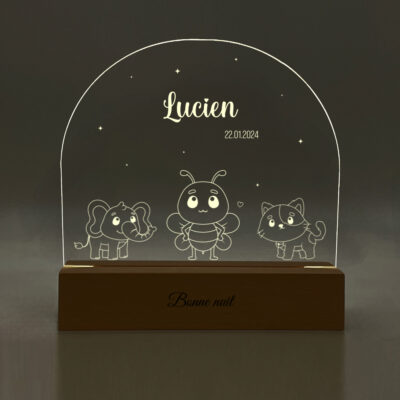 Image produit lampe Compagnons vue de nuit